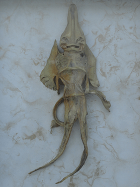 Jenny-Haniver.gif