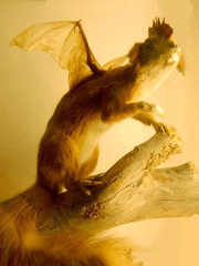 wolpertinger-8a.gif